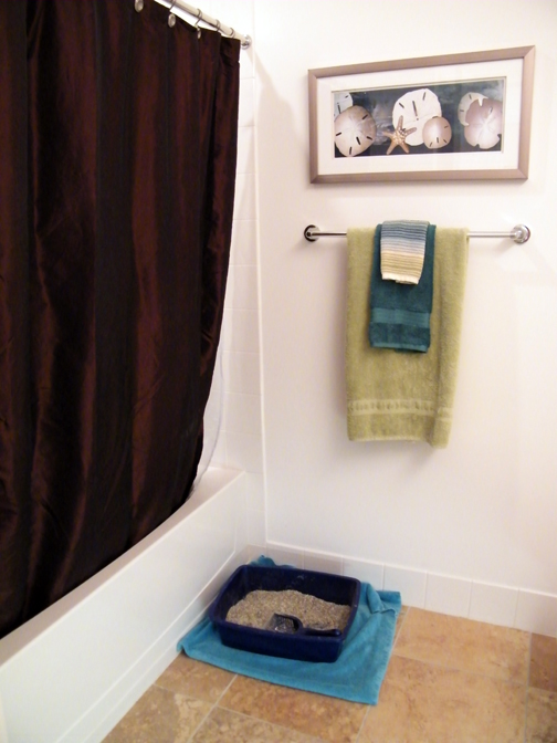 DIY Kitty Litter Box A Design Story